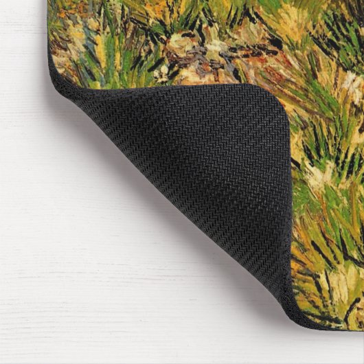 Meadow in het Saint Paul Hospital door Vincent van Muismat (Hoek)