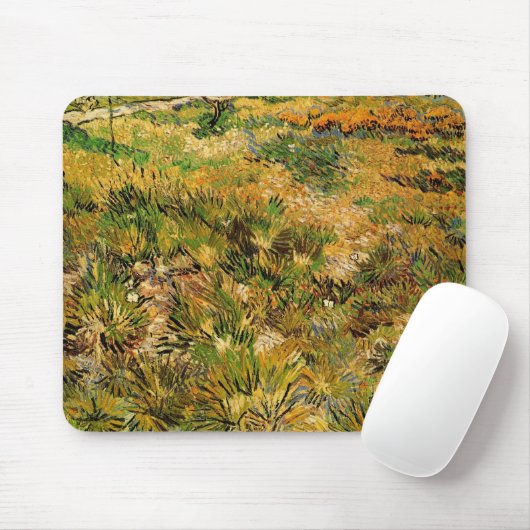Meadow in het Saint Paul Hospital door Vincent van Muismat (Met muis)