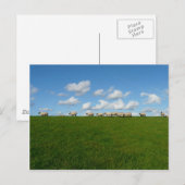 Meadow Landschap Briefkaart (Voorkant / Achterkant)