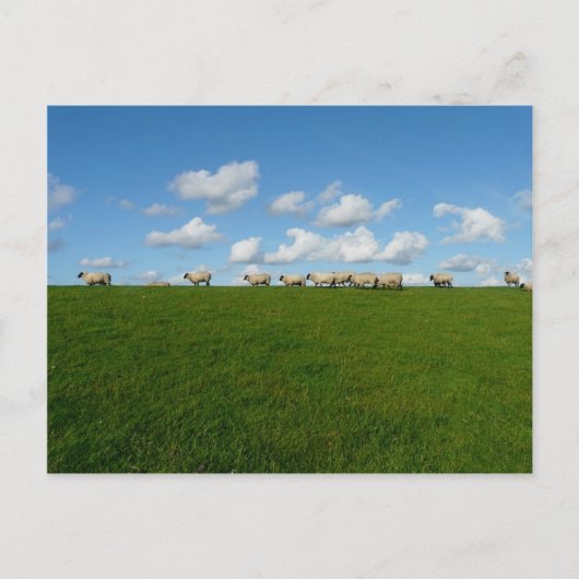 Meadow Landschap Briefkaart (Voorkant)