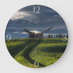 Meadow Landschap Grote Klok