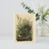 Meadow Lark van de Amerikaanse vogels van Audubon Briefkaart (Staand voorkant)
