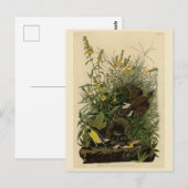 Meadow Lark van de Amerikaanse vogels van Audubon Briefkaart (Voorkant / Achterkant)