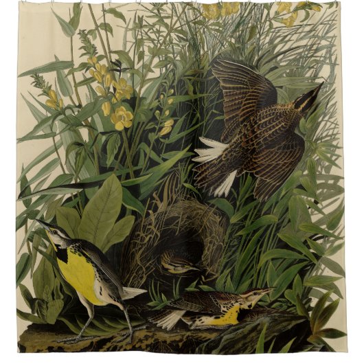 Meadow Lark van de Amerikaanse vogels van Audubon Douchegordijn (Voorkant)