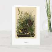 Meadow Lark van de Amerikaanse vogels van Audubon Kaart (Achterkant)