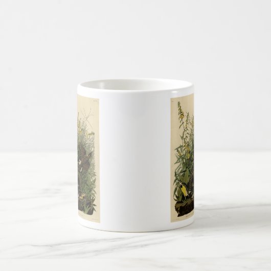 Meadow Lark van de Amerikaanse vogels van Audubon Koffiemok (Center)