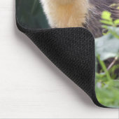 Meadow Marten Mousemat Muismat (Hoek)