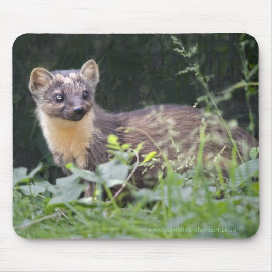 Meadow Marten Mousemat Muismat (Voorkant)