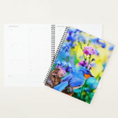 Meadow Melody Planner (Display)