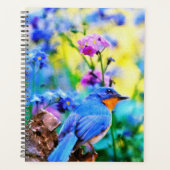Meadow Melody Planner (Voorkant)