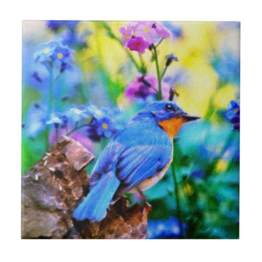 Meadow Melody Tegeltje (Voorkant)