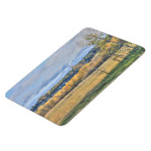 Meadow met Aspens Magneet (Linkerzijde)