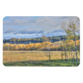 Meadow met Aspens Magneet (Horizontaal)