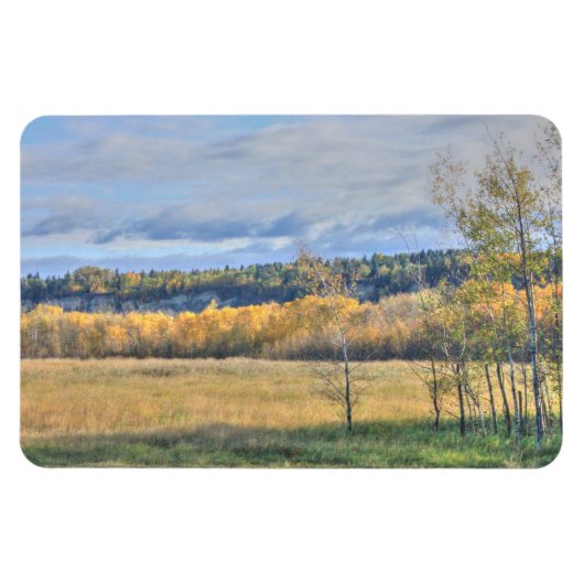 Meadow met Aspens Magneet (Horizontaal)