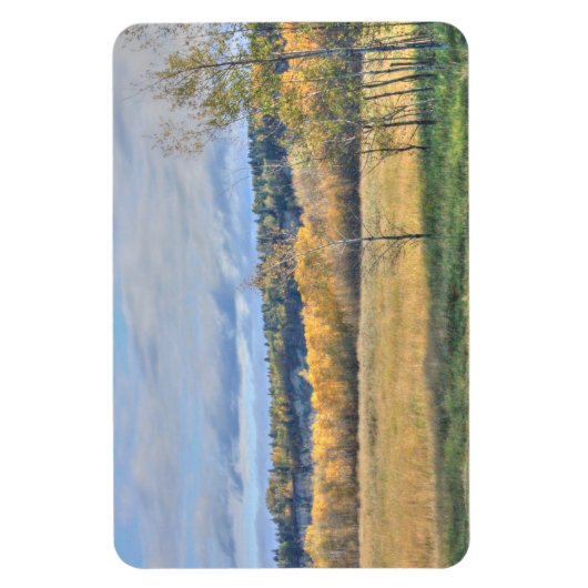 Meadow met Aspens Magneet (Verticaal)
