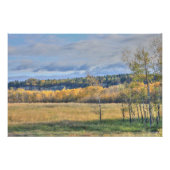 Meadow met Aspens Perfect Poster (Voorkant)