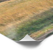 Meadow met Aspens Perfect Poster (Hoek)