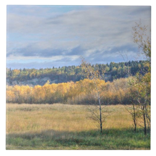 Meadow met Aspens Tegeltje (Voorkant)