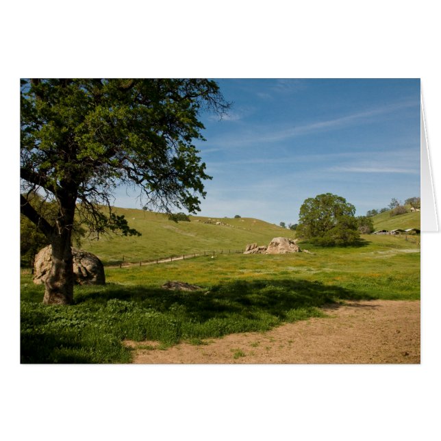 Meadow met levende eiken en schokken (Voorkant Horizontaal)
