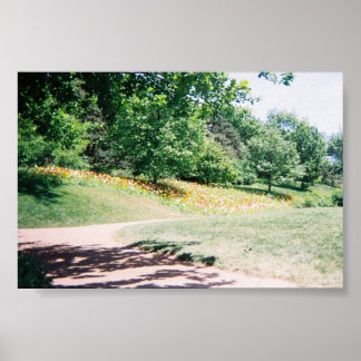 Meadow Poster