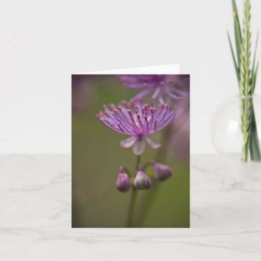 Meadow Rue Note Kaart (Voorkant)