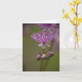Meadow Rue Note Kaart (Gele Bloem)