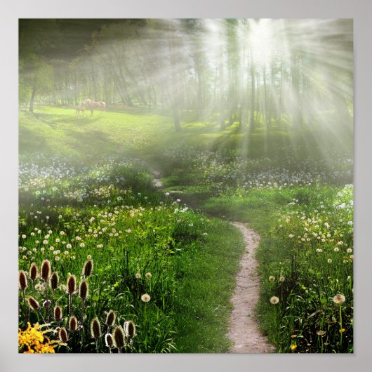 Meadow Trail Poster (Voorkant)