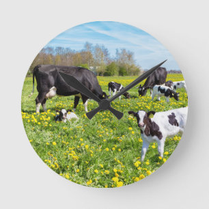 Meadow vol met andelionen met graaskoeien ronde klok