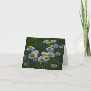 Meadow Wildflower Note Card Kaart