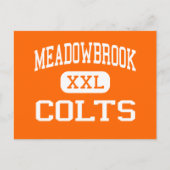 Meadowbrook - Colts - High School - Byesville Ohio Briefkaart (Voorkant)