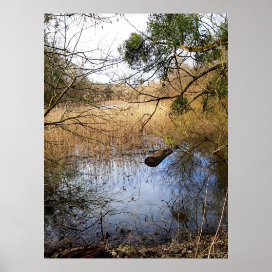 Meadowlands natuur poster (Voorkant)