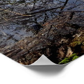 Meadowlands natuur poster (Hoek)