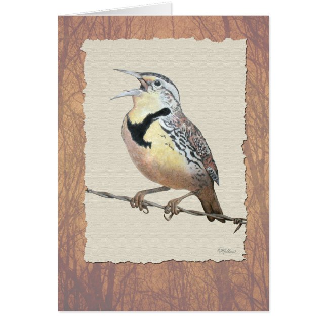 Meadowlark (Voorkant)