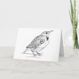 Meadowlark Kaart