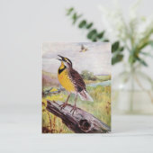 Meadowlark op een filiaal briefkaart (Staand voorkant)
