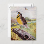 Meadowlark op een filiaal briefkaart (Voorkant / Achterkant)