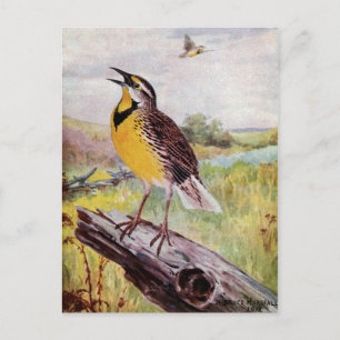 Meadowlark op een filiaal briefkaart