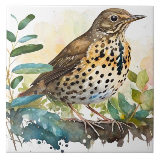 Meadowlark op een stevige witte achtergrond op een tegeltje (Voorkant)