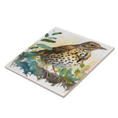 Meadowlark op een stevige witte achtergrond op een tegeltje (Zijkant)