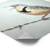 Meadowlark Poster (Hoek)