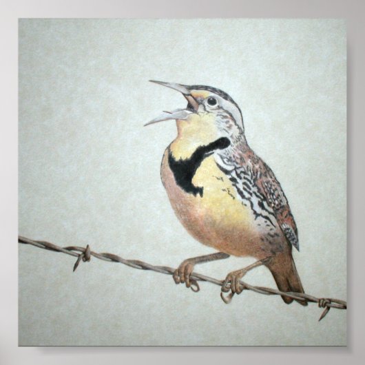 Meadowlark Poster (Voorkant)