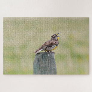 Meadowlark puzzel
