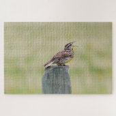 Meadowlark puzzel legpuzzel (Horizontaal)