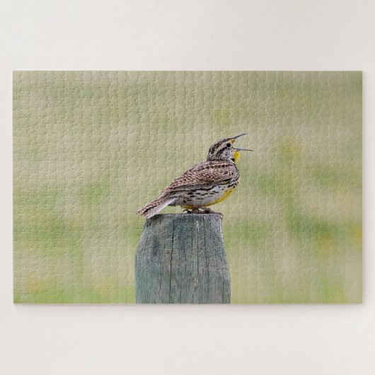 Meadowlark puzzel legpuzzel (Horizontaal)
