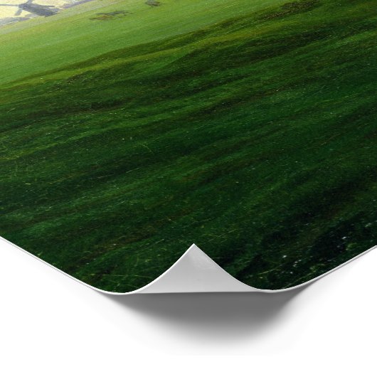 Meadows bij Greifswald Poster (Hoek)