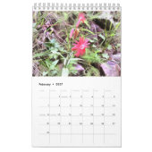 Meadows in Bloom 1-jarig kalender (Feb 2027)