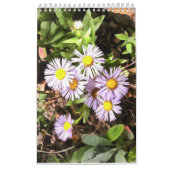 Meadows in Bloom 1-jarig kalender (Hoes)