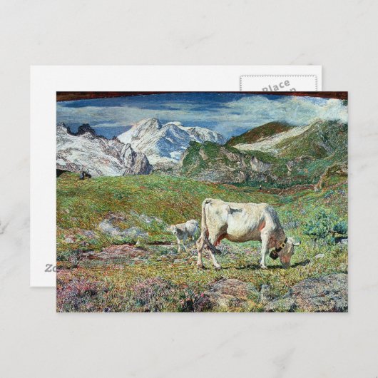 Meadows in het voorjaar briefkaart (Voorkant / Achterkant)