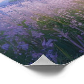 Meadow's Vibrant Symphony Poster (Hoek)