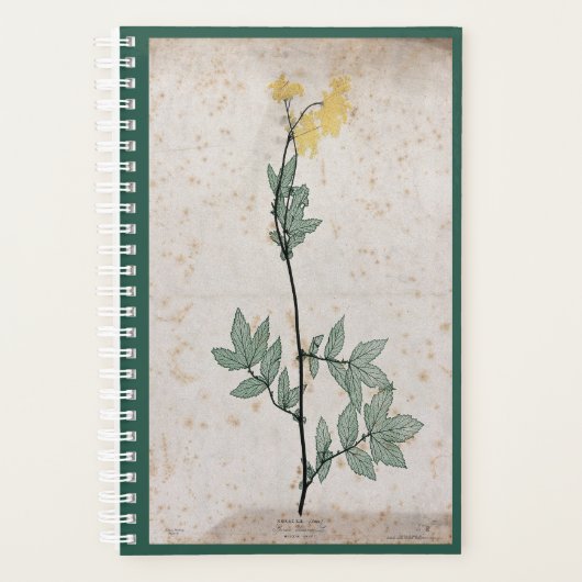 Meadowsweet planner (Voorkant)
